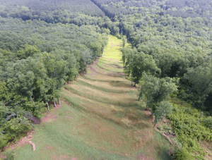 Well vegetated slope Well vegetated slope - facing North.
