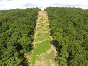 Recently hydroseeded steep slope showing large amount of new growth Recently hydroseeded steep slope showing large amount of new growth - facing West.