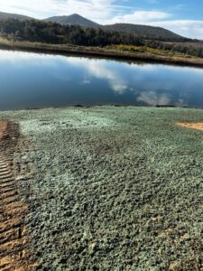 Semper-Fi-Hydroseed-2023-Upload-IMG-2908