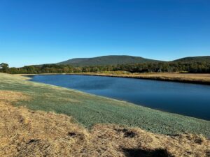 Semper-Fi-Hydroseed-2023-Upload-IMG-2933