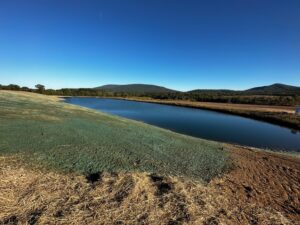 Semper-Fi-Hydroseed-2023-Upload-IMG-2935